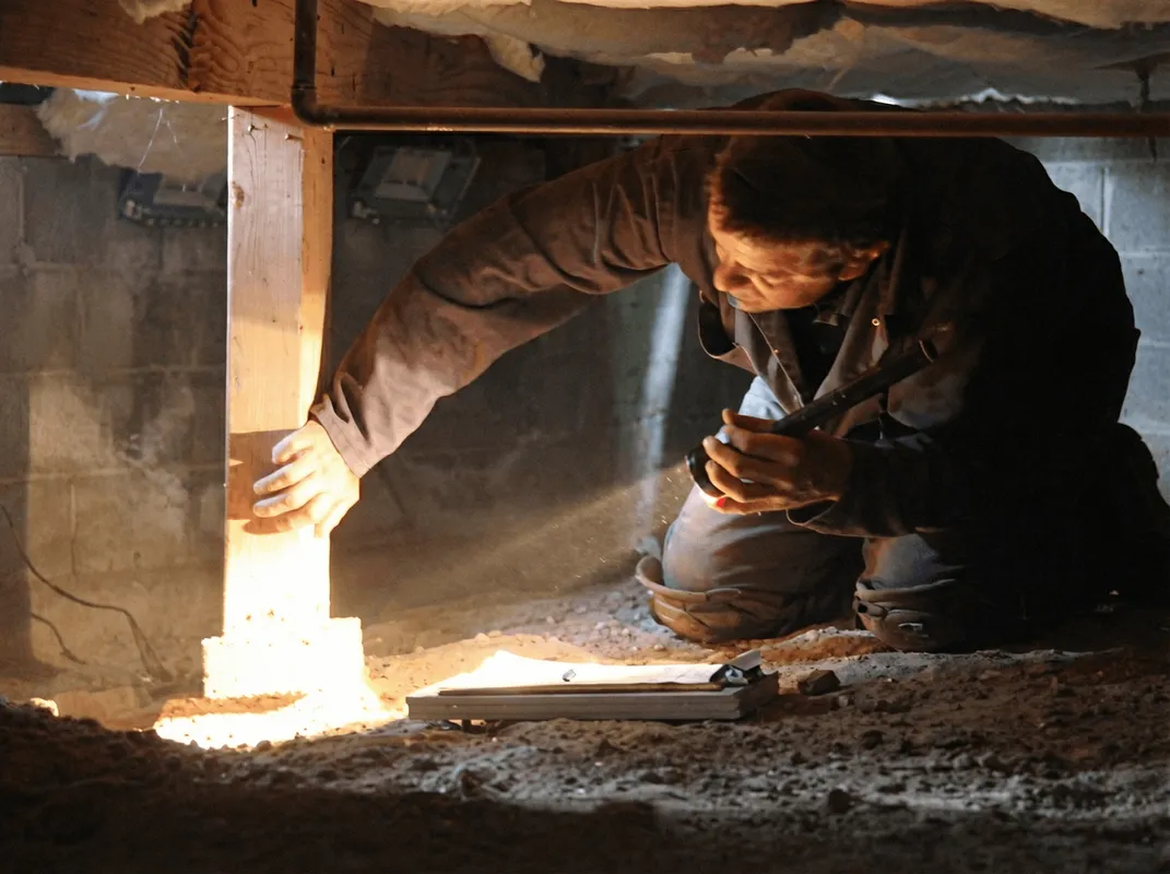 A professional inspecting wooden beams under the floor of a structure in Boulder, CO